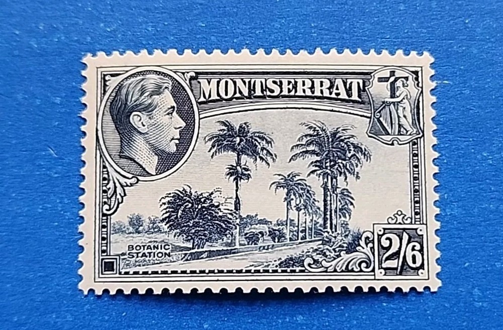 Montserrat Stamp, Scott 100 MLH