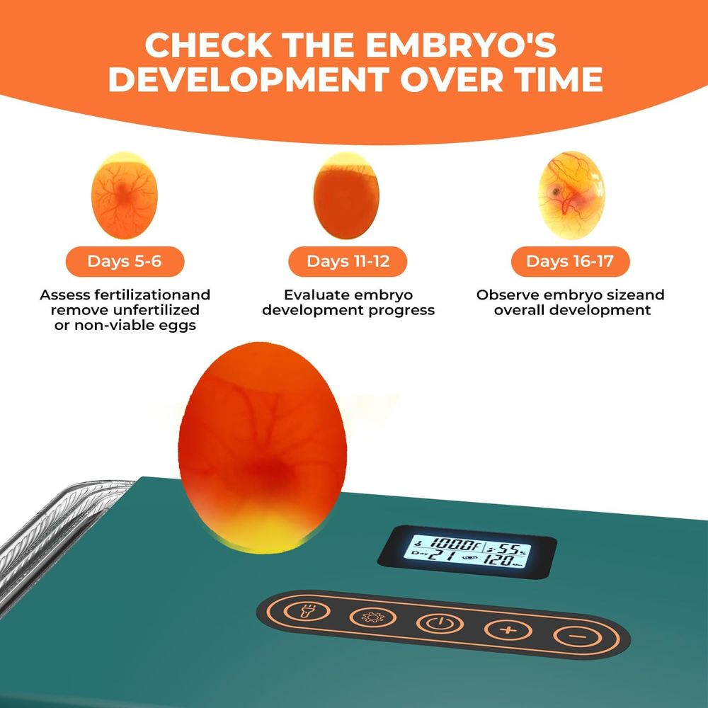 Automatic Egg Incubator for Hatching Eggs: Egg Incubator with Automatic Egg Turn