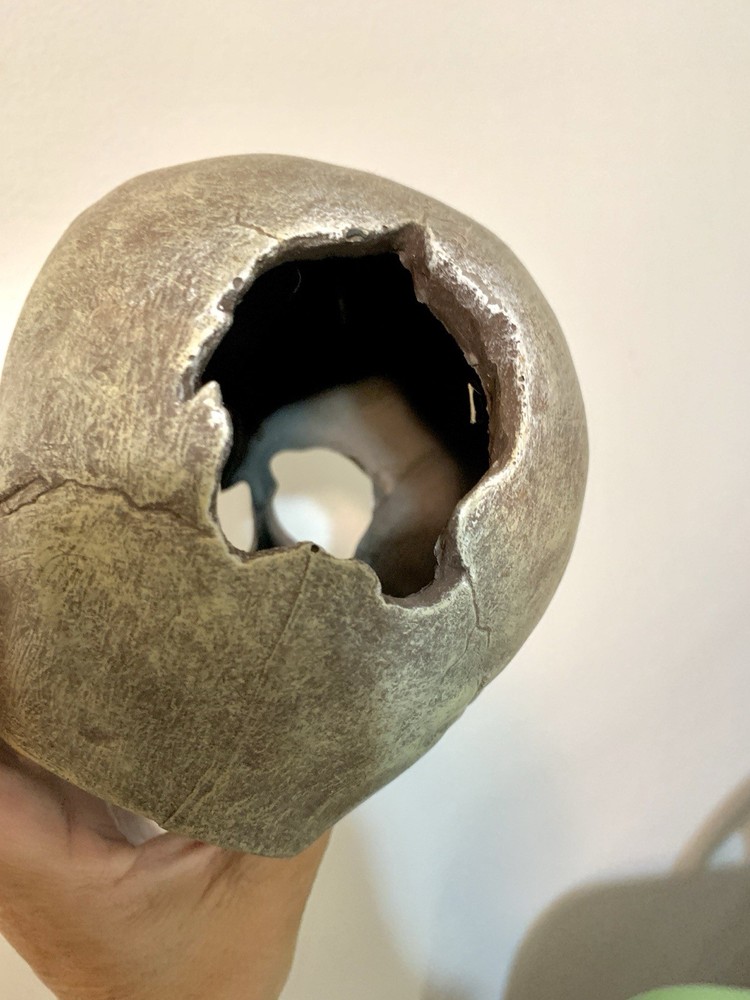Resin Human Skull Head Halloween Decoration