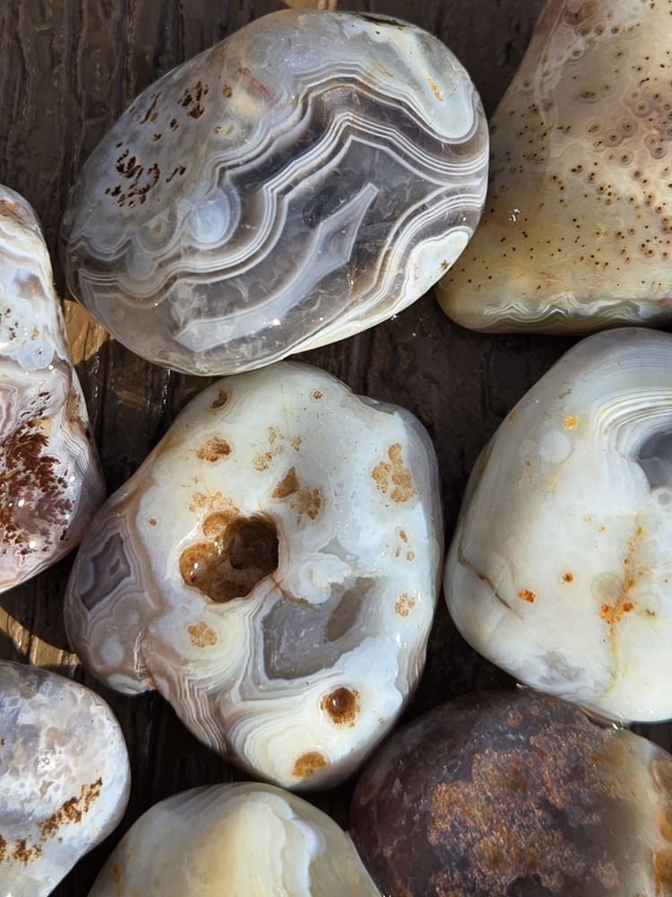 Botswana Agate Selects - WILD ONES - Rough, Natural, Not Polished A+ Grade