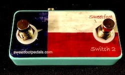 2 Button Footswitch for Pigtronix Echolution, Infinity etc. - HANDMADE IN USA