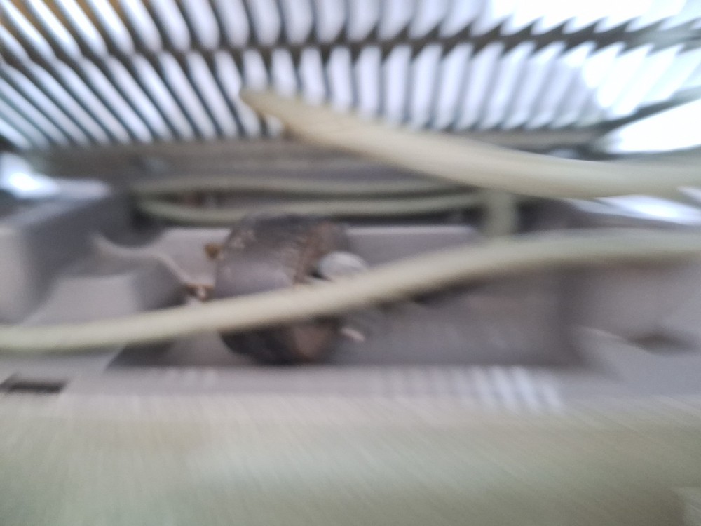 Stunning Vintage SIEMENS 2000 16mm (Untested) Read Discription