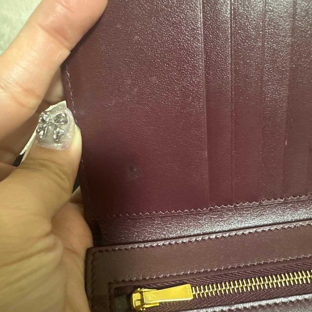CELINE Strap Wallet From Japan