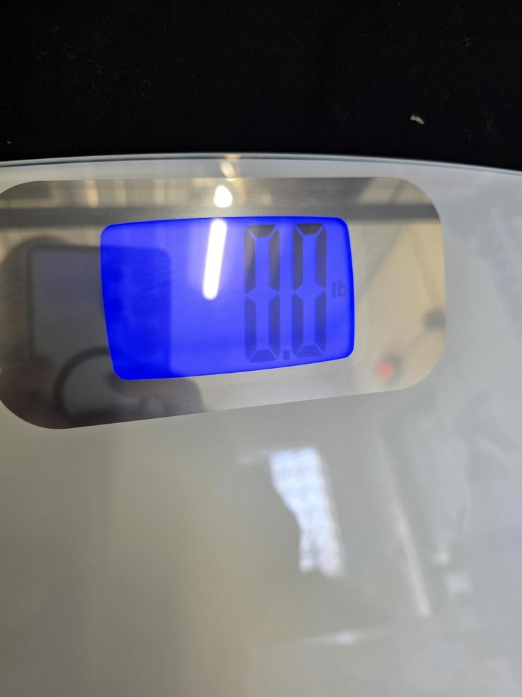 Taylor Digital Bathroom Scale with Blue Backlit Display