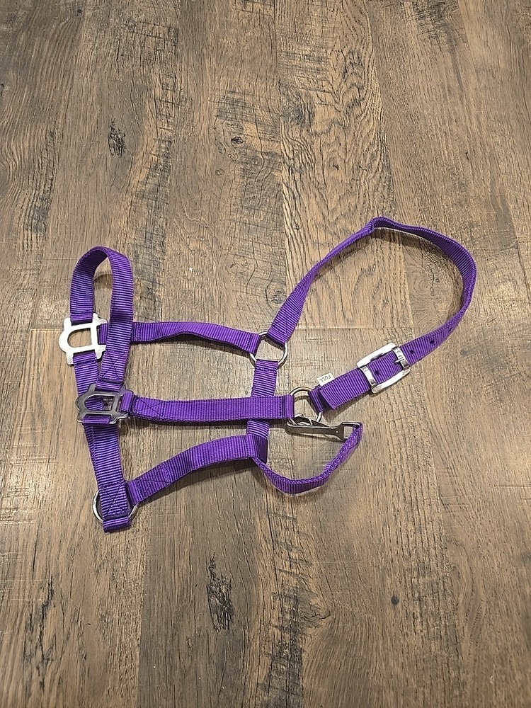 Horse Halter