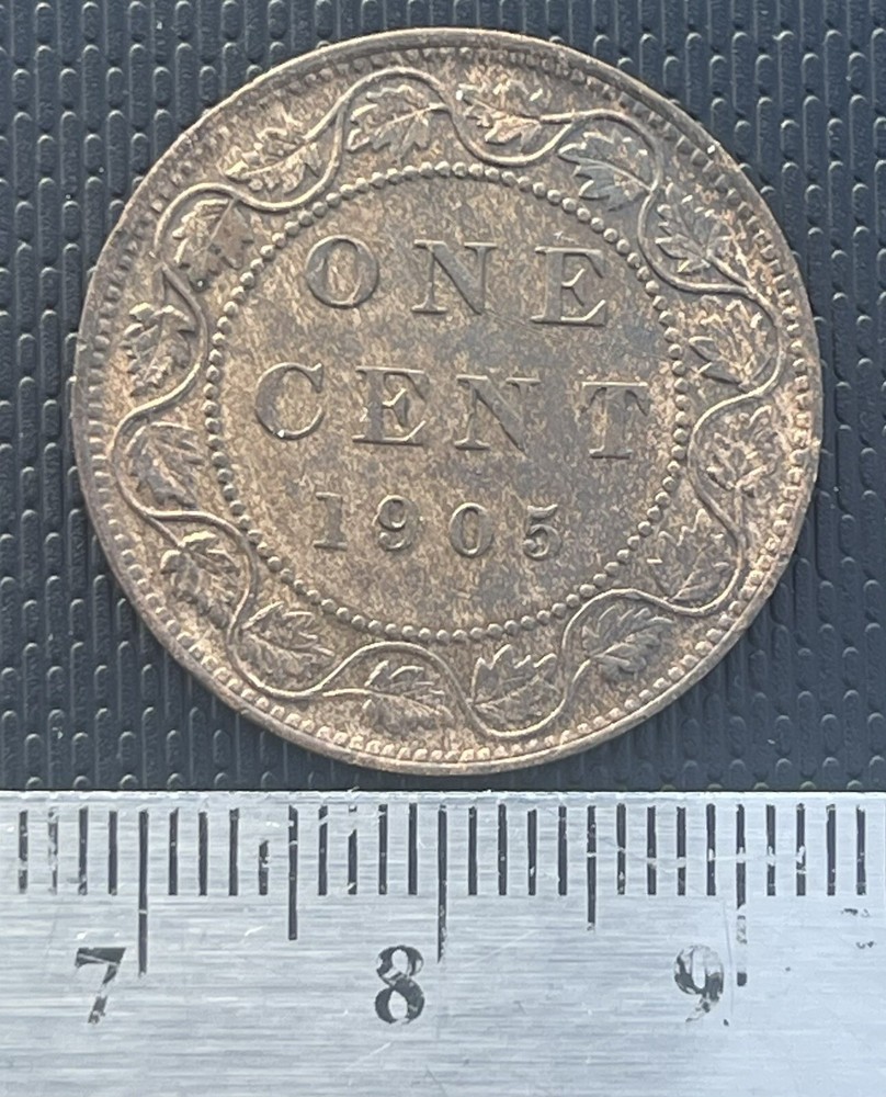 1905 Large One Cent -High Grade-TM47