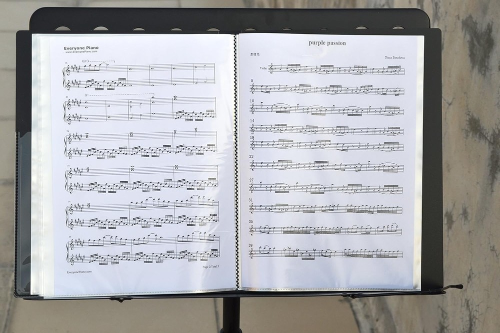 WOGOD Music Sheet File Paper Documents Storage Folder Holder Folder-black