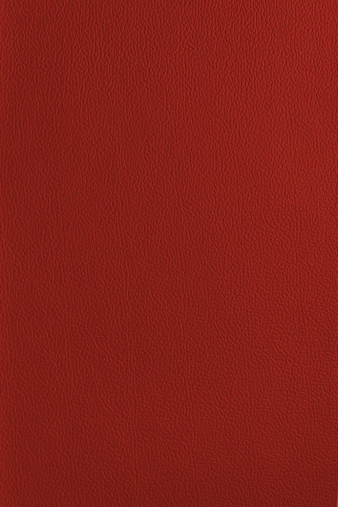 Royal Red Quality Camera Replacement Leather self-adhesive