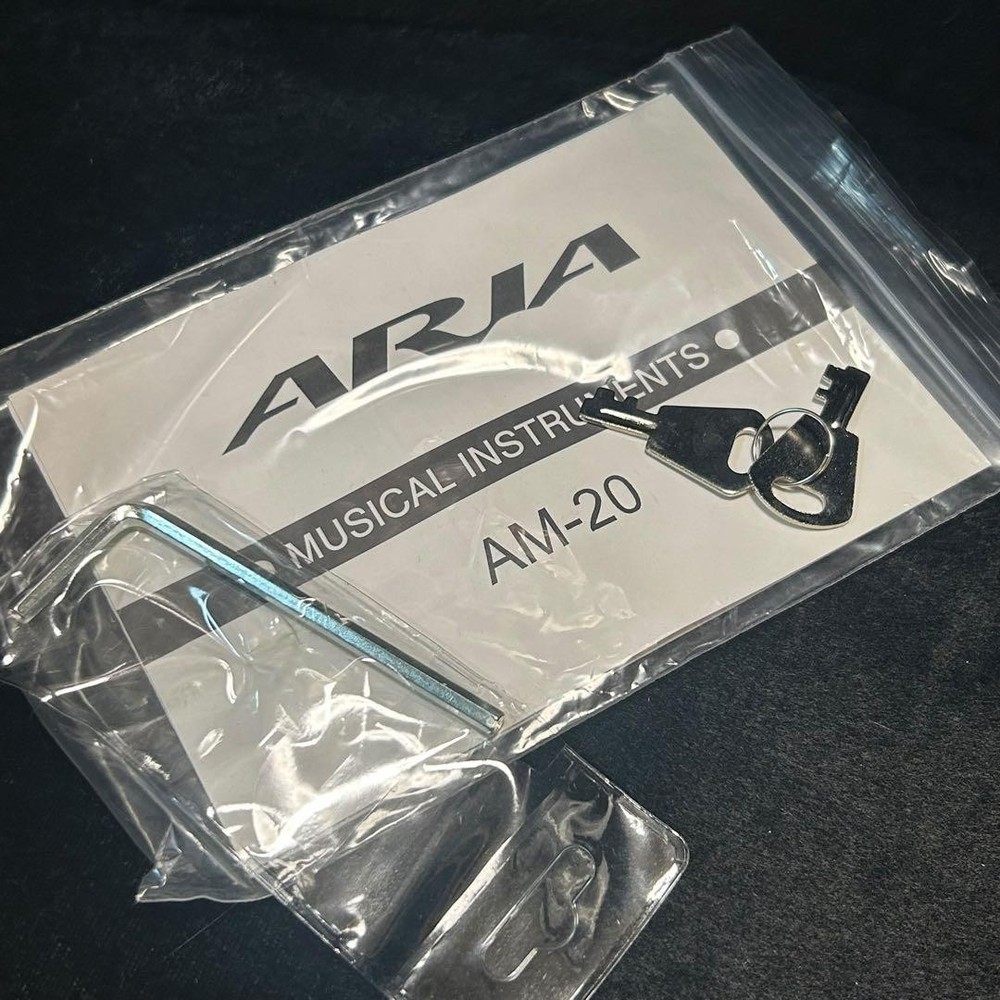 [Good condition/new strings] Aria AM20 8 string mandolin hard case included