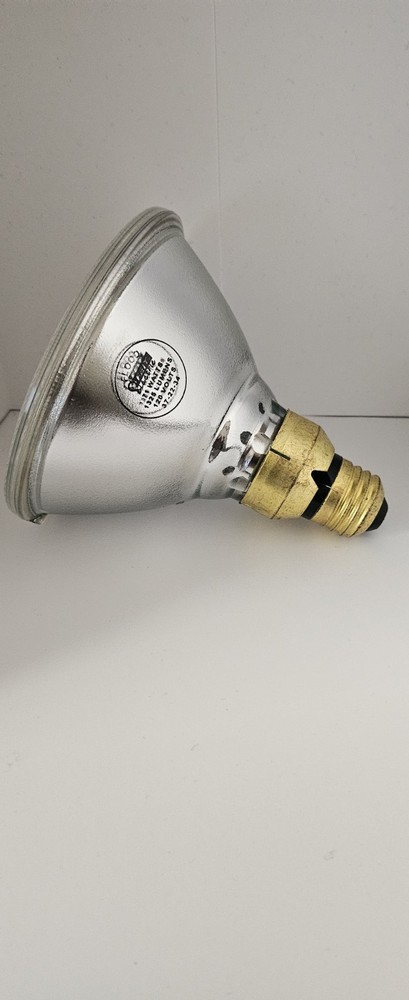 Feit electricIndoor/Outdoor PAR38 Flood Medium Base 90W Replacement Bulb, 2-pack