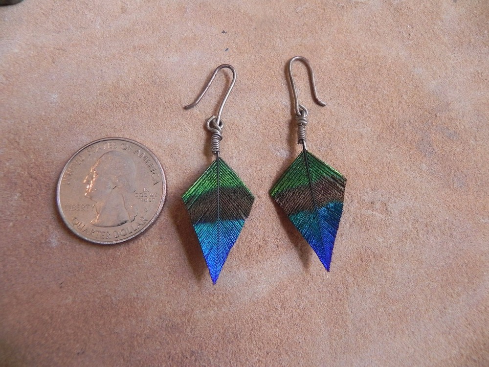 Strut~Triangle Shaped PEACOCK FEATHER Earrings-NEW