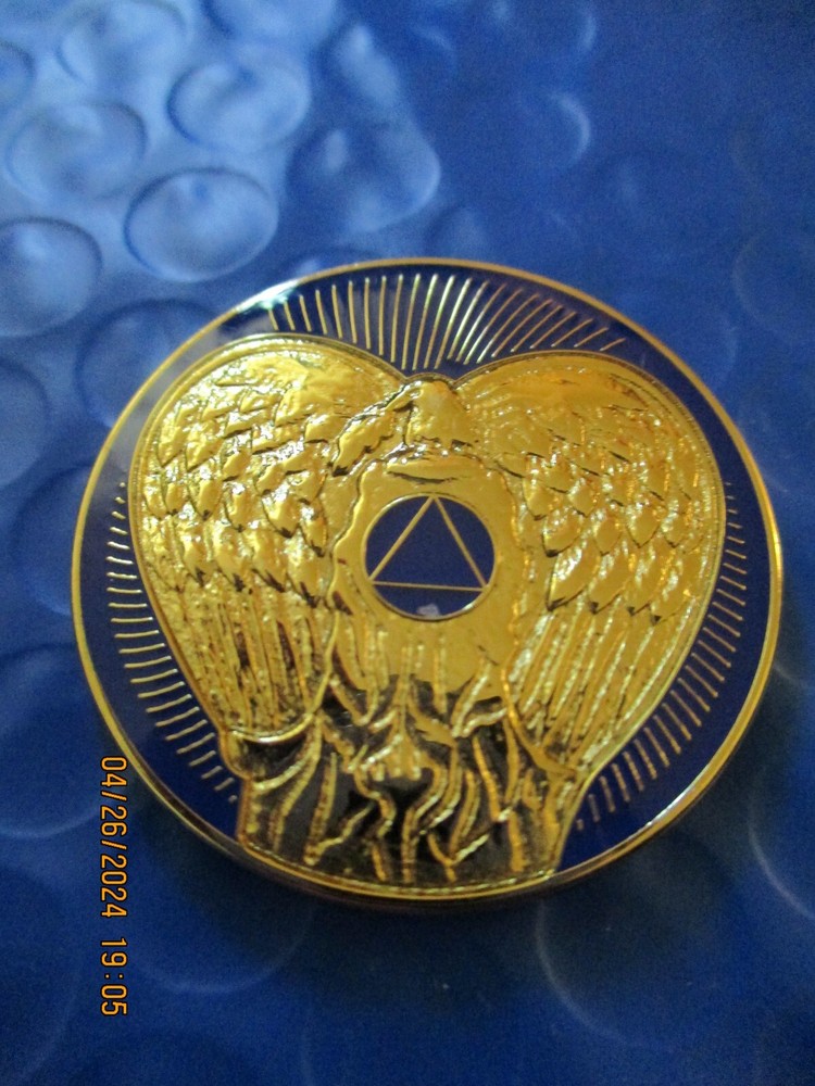 Coin "RULE 62" All 12 Step Programs AA NA OA SA Recovery