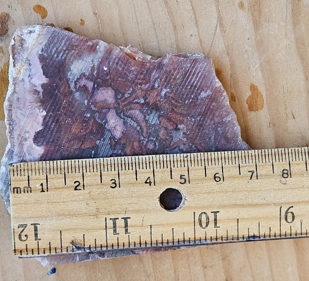 Agate End Cut Lapidary Slab 58 Grams