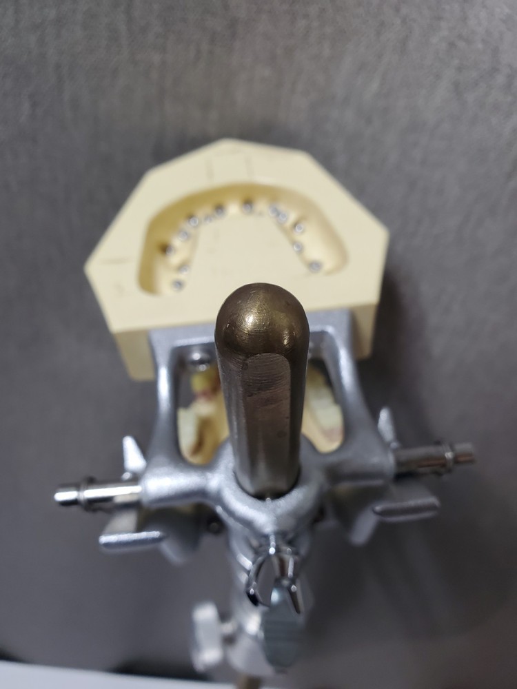 Mounted Dental Typodont Model And Mounting Pole