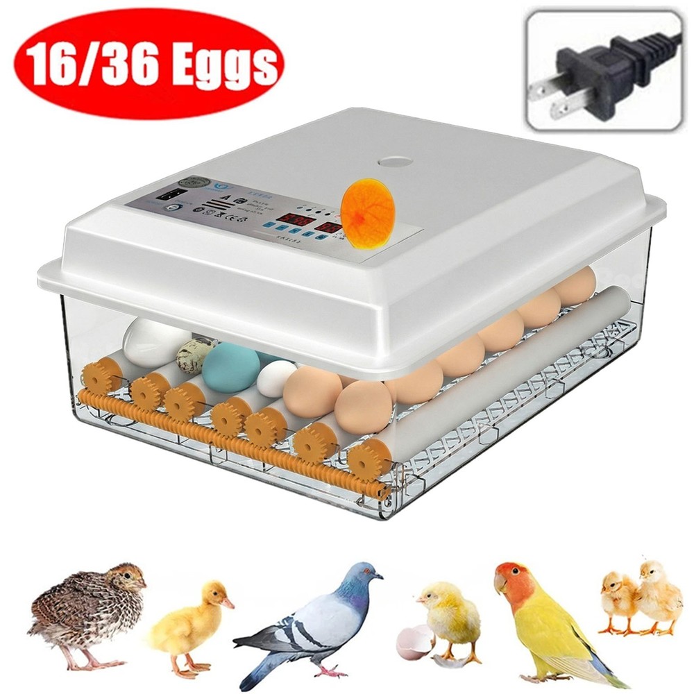 16/36 Eggs Incubators for Hatching Eggs with Automatic Egg Turning Egg Candler