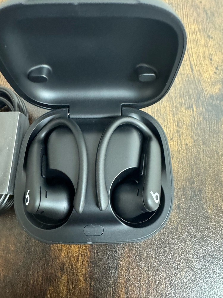 Beats Powerbeats Pro 2 Wireless Earbuds - Black