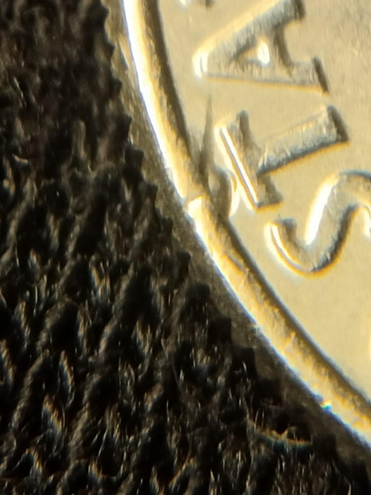 2019 P Roosevelt Dimerim Die Clash Error