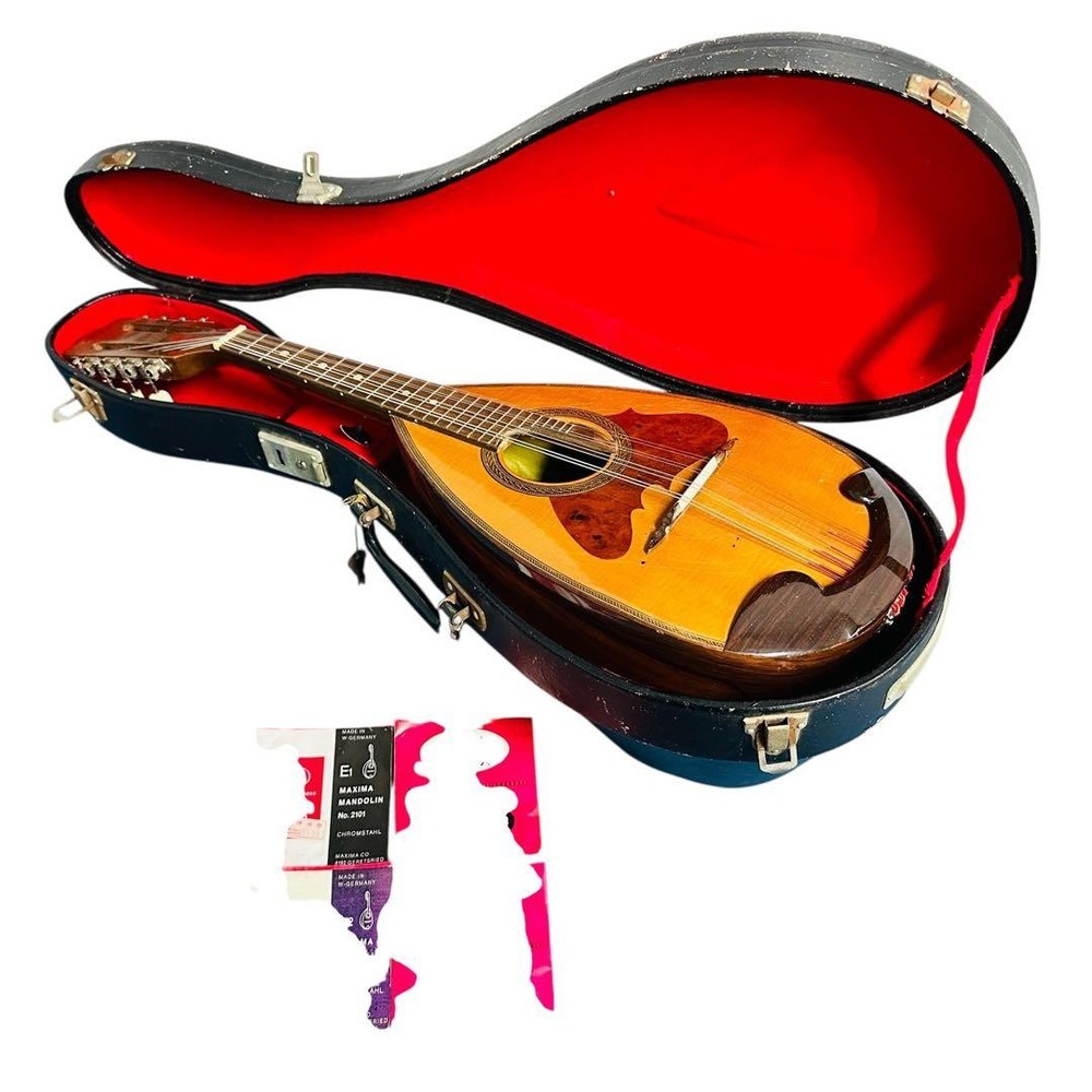 SUZUKI Mandolin NO230