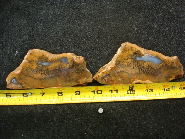 mexican sagenite slabs