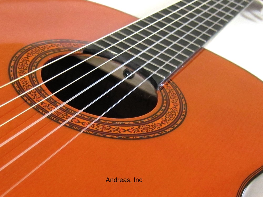 Washburn Classical Nylon String Acoustic Guitar - Spruce Top