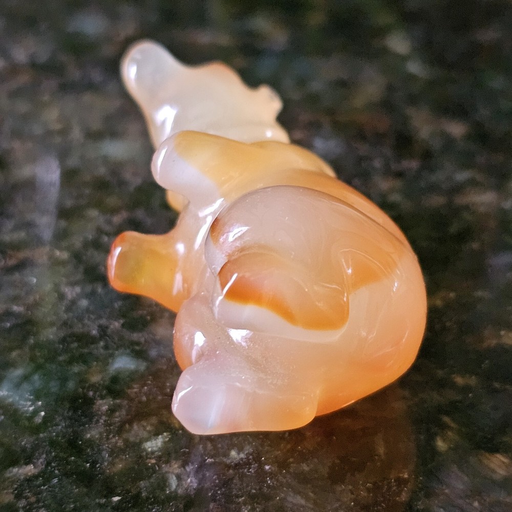 Bear Carved Carnelian Translucent Self Confidence Gemstone