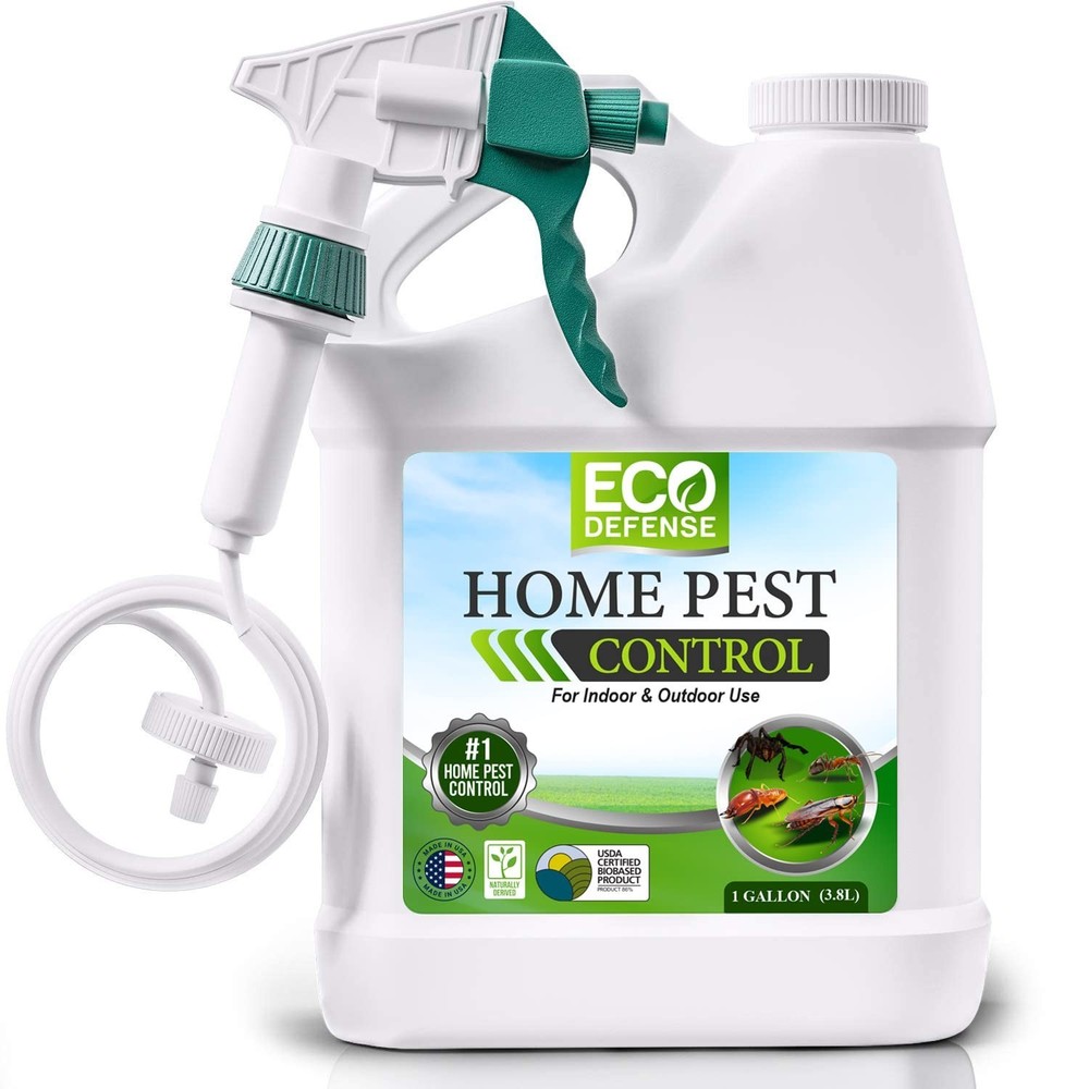 Safe Home Bug Control - Natural Ant, Roach, Spider Repellent