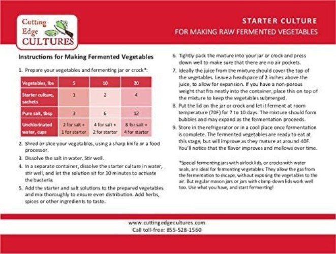 Easy Fermentation Kit for Nutrient Rich Foods