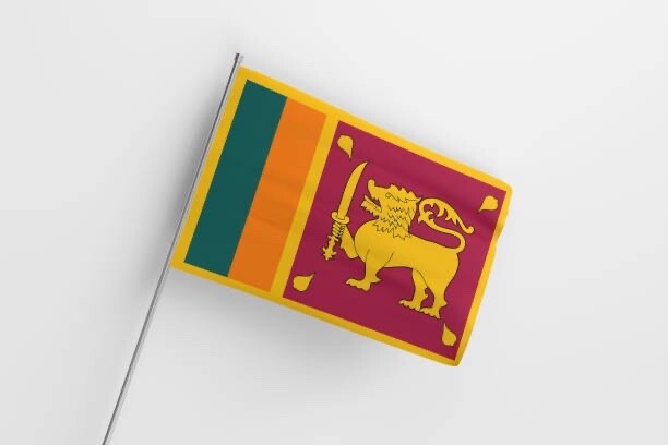 Sri lanka National flag Polyerter 50x45