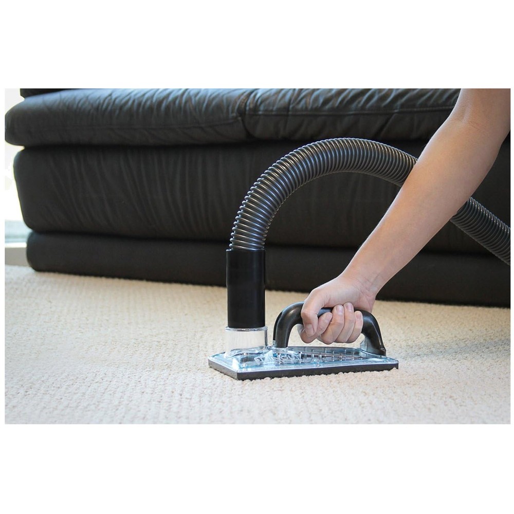 Professional Carpet Stain Remover