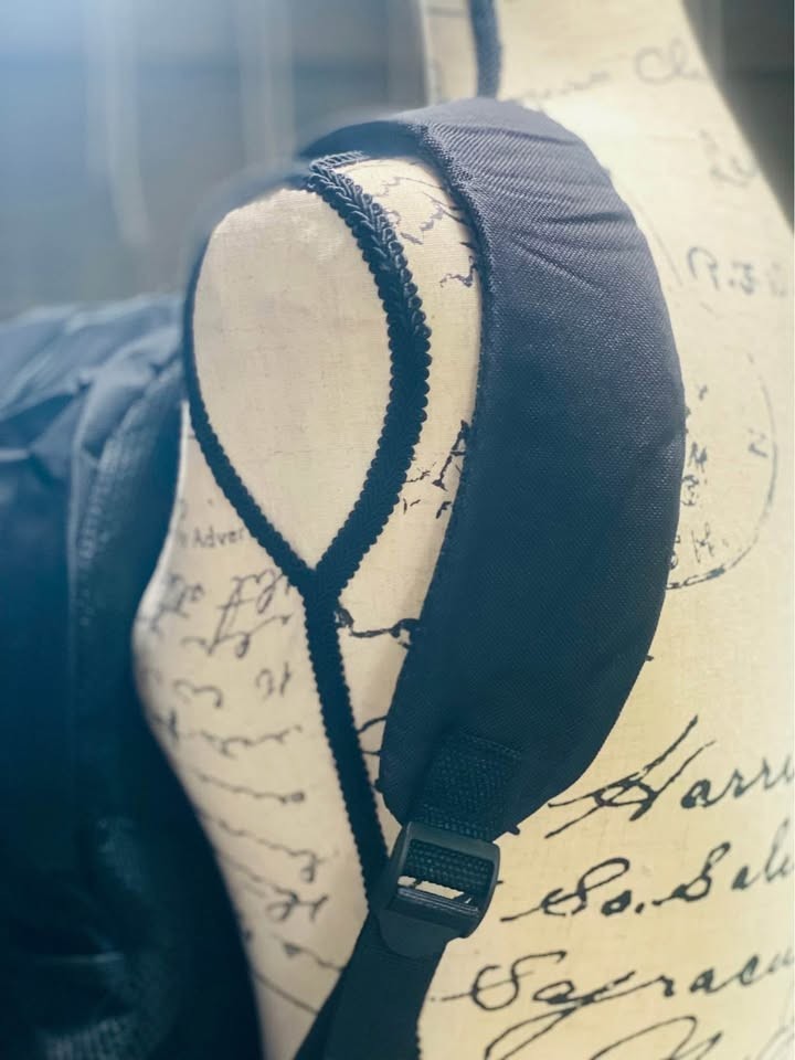 Sponch Bob and Friends backpack