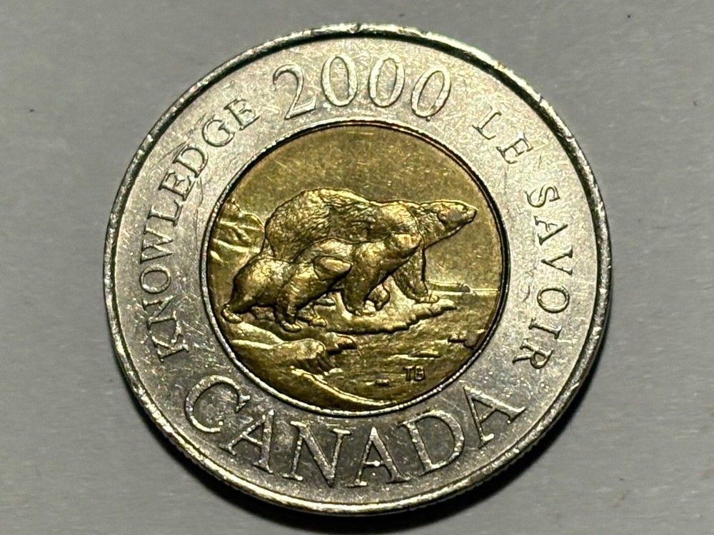 ERROR! 2000 Canada Knowledge $2 Dollar Toonie! **PEDESTAL 0 ERROR!** RARE ERROR!