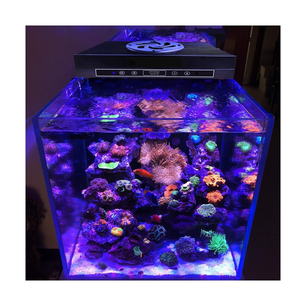 Aquarium Light - 95 Watt Sunrise Sunset Moonlight, Group Control Program Cora...