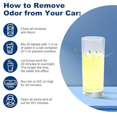 Powerful Car & Home Odor Eliminator - Fast Deep Deodorizer for Pets - 1 Pack