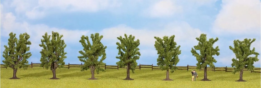 NOCH,7 deciduous trees, 8cm, , NOC25088