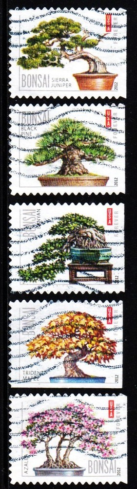 #4618 - 4622  Bonsai Trees set/5 - Used