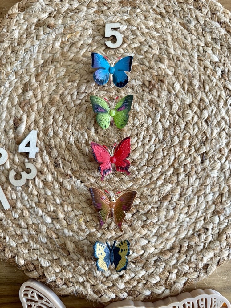 Butterfly Learning Set Nature Learning Montessori Education