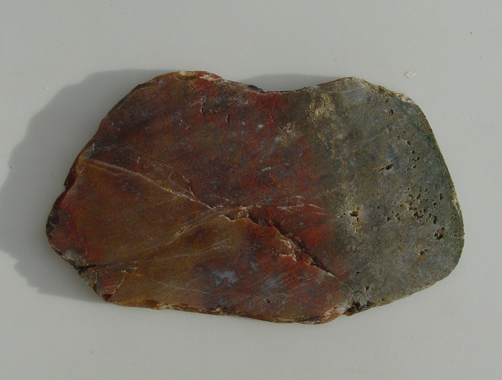 Macaw Agate from Mexico Lapidary Slab T826