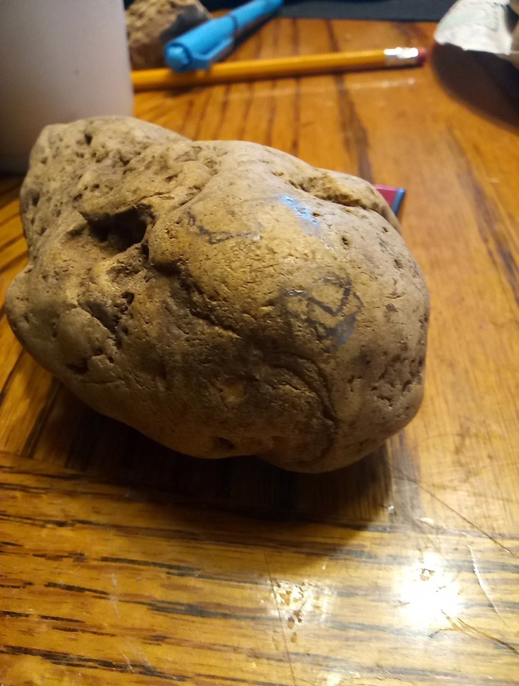 Fossils