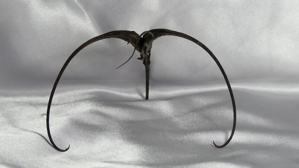 devils claw  (1PC)