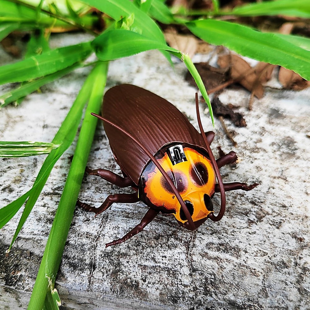 Mini RC Cockroach Toy Remote Control Roach Insect Realistic Simulation Electr