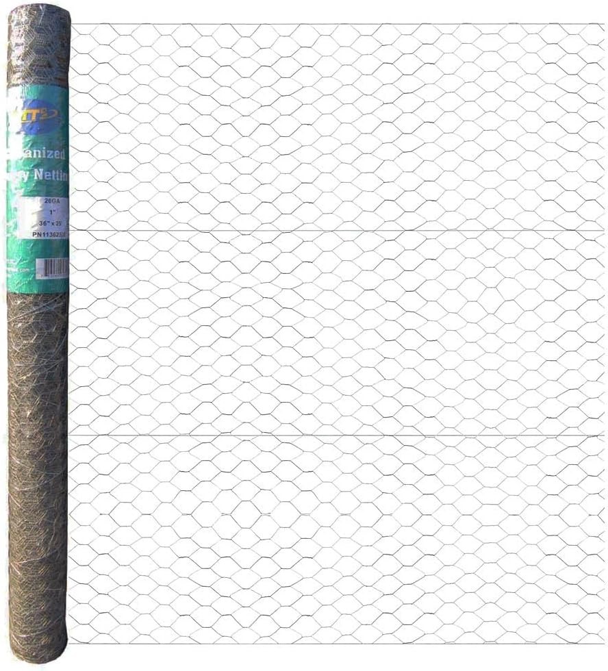 Versatile 20GA Galvanized Hexagonal Chicken Wire - 36'' x 25' for Enclosures