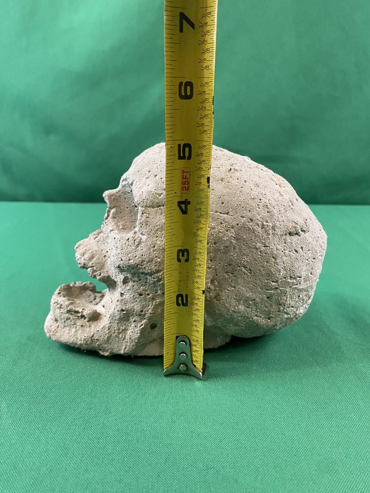 Hand Cast Fireproof Cement Fire Pit Skull Log for Bonfire Campfire Fireplace