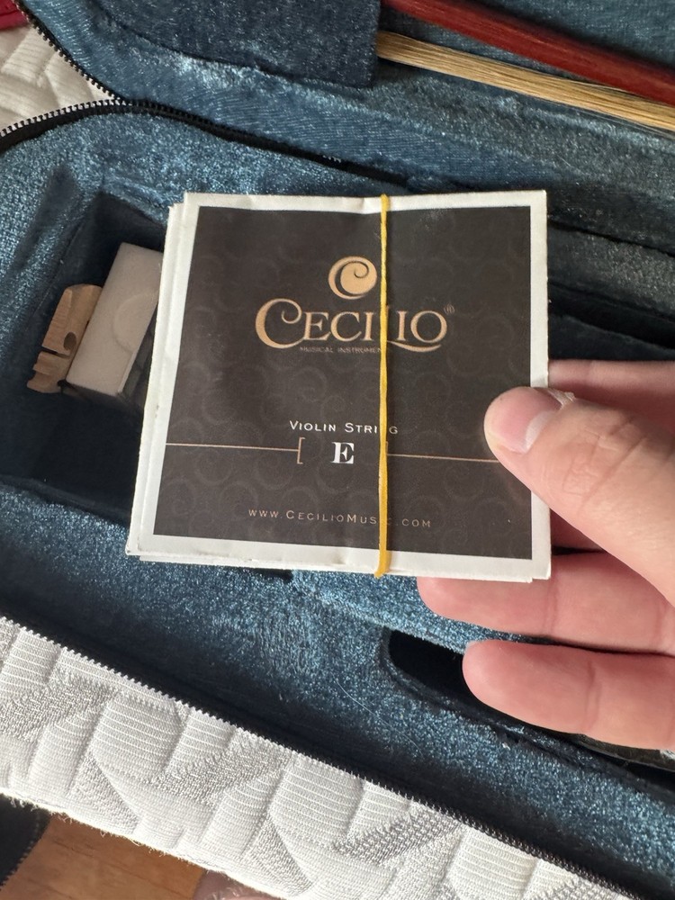 Mendini by Cecilio Violin Beginner