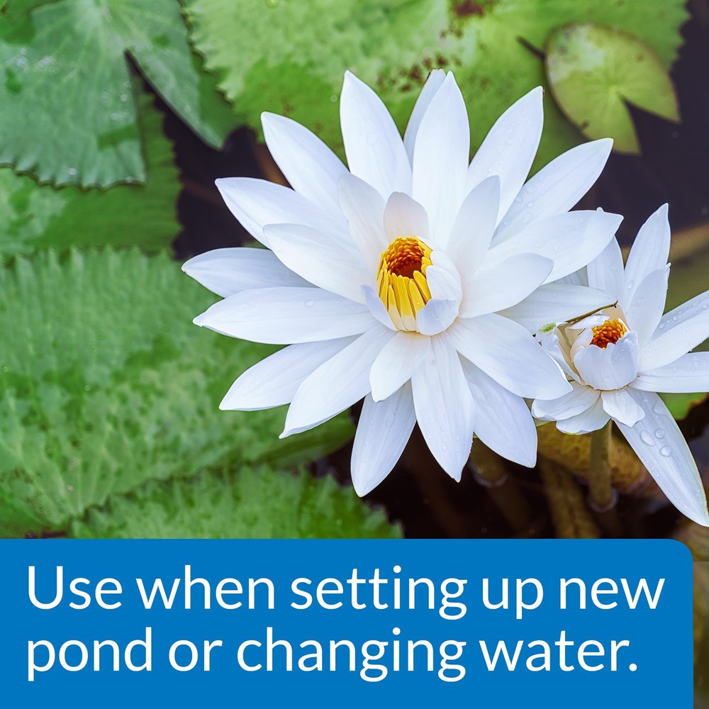 API POND CHLORINE & HEAVY METAL NEUTRALIZER Pond Water Neutralizer 16-Ounce