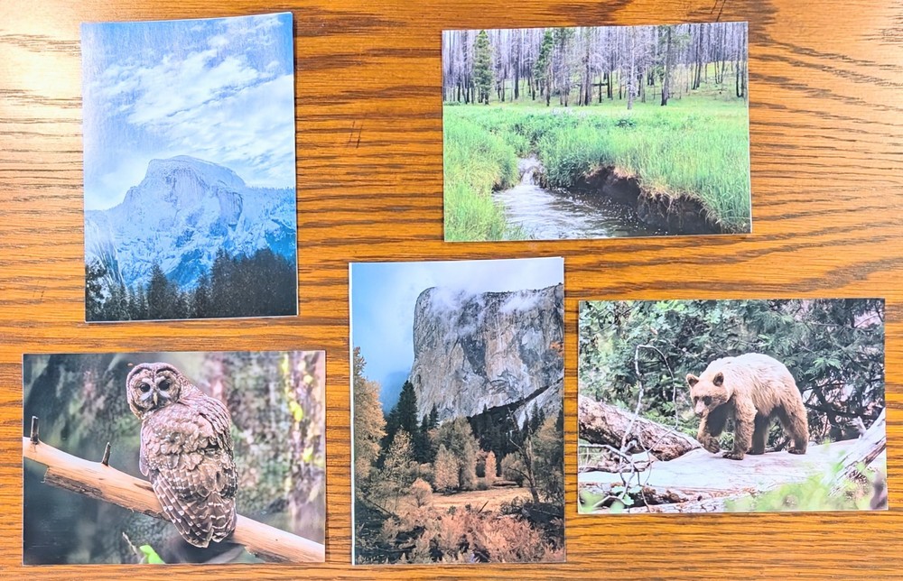 Set/5 Yosemite Conservany Blank Note Cards w/ Envelopes