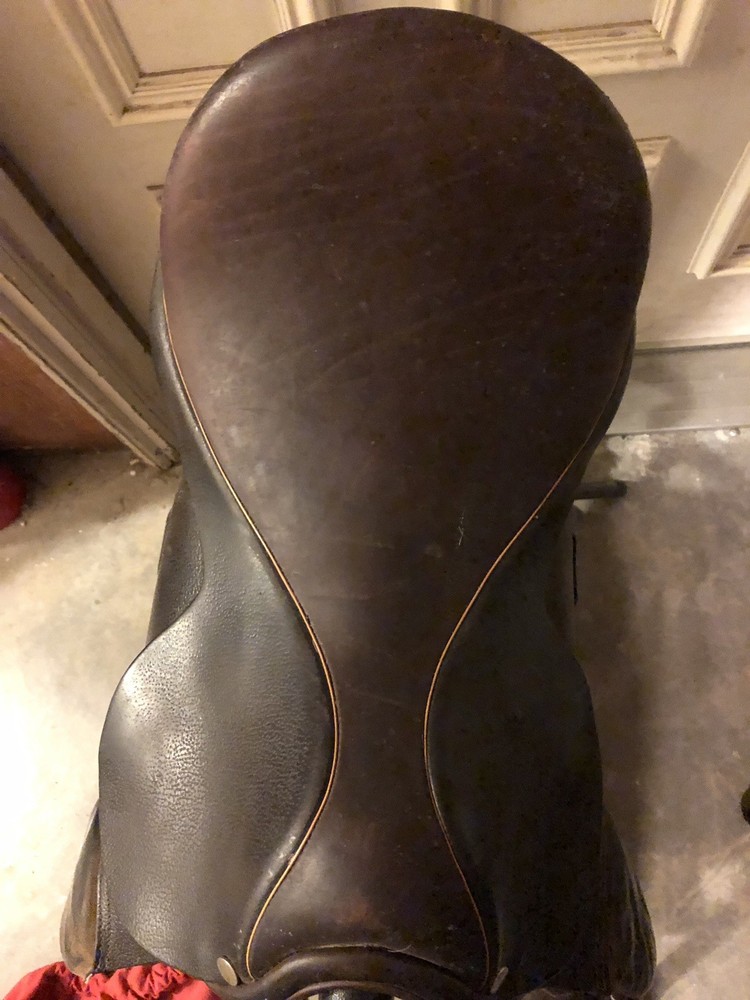 Brown Pride All-Purpose English Saddle