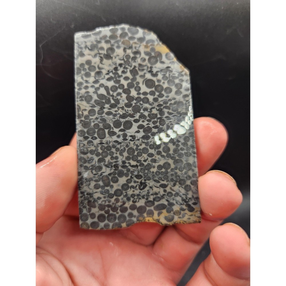 Chinese Oolite Slabs (unpolished)