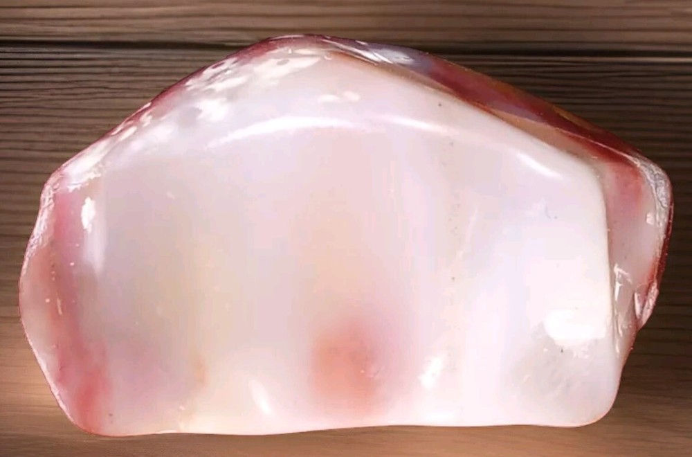 Beautiful Polished Translucent Petrified Wood