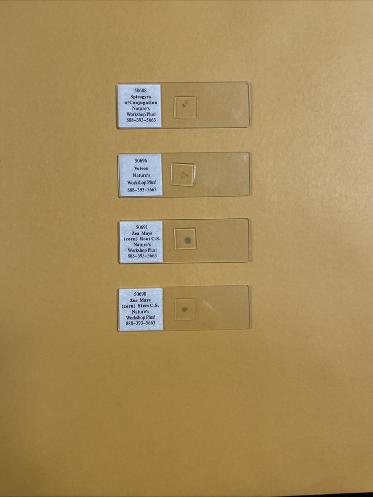 Slide Set for Exploring Creation with Biology - Nature’s Workshop Plus!
