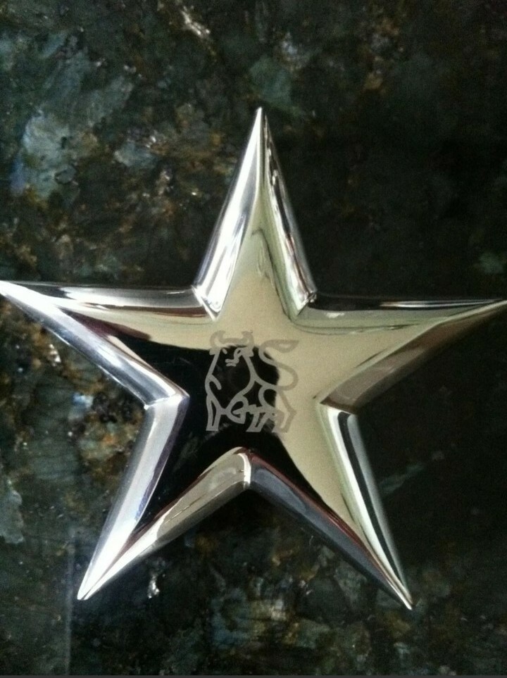 Merill Lych Logo Paperweight